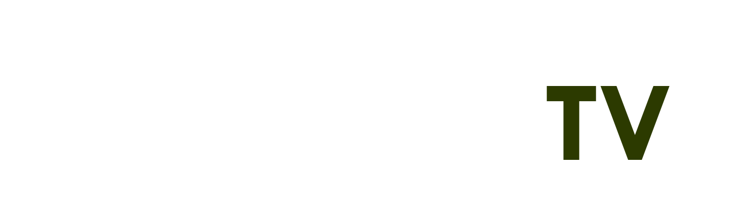 Sốt Xuất Huyết - rắn hổ mang chúa